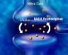 GABA Receptor