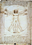 Vitruvian Man