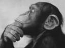 Thinking men