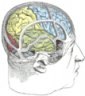 mental games and teasers