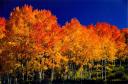 Aspen