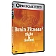 PBS Brain Fitness 2