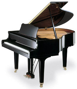 Piano musical training