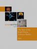 Brain Fitness Market Report