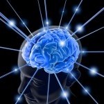 Brain3