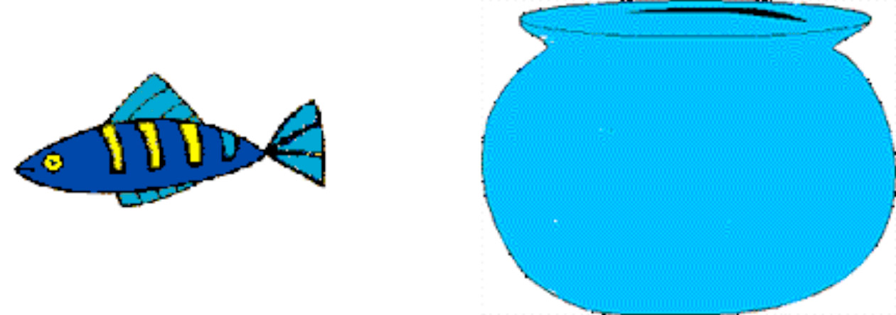 FishBowl fish bowl illusions test