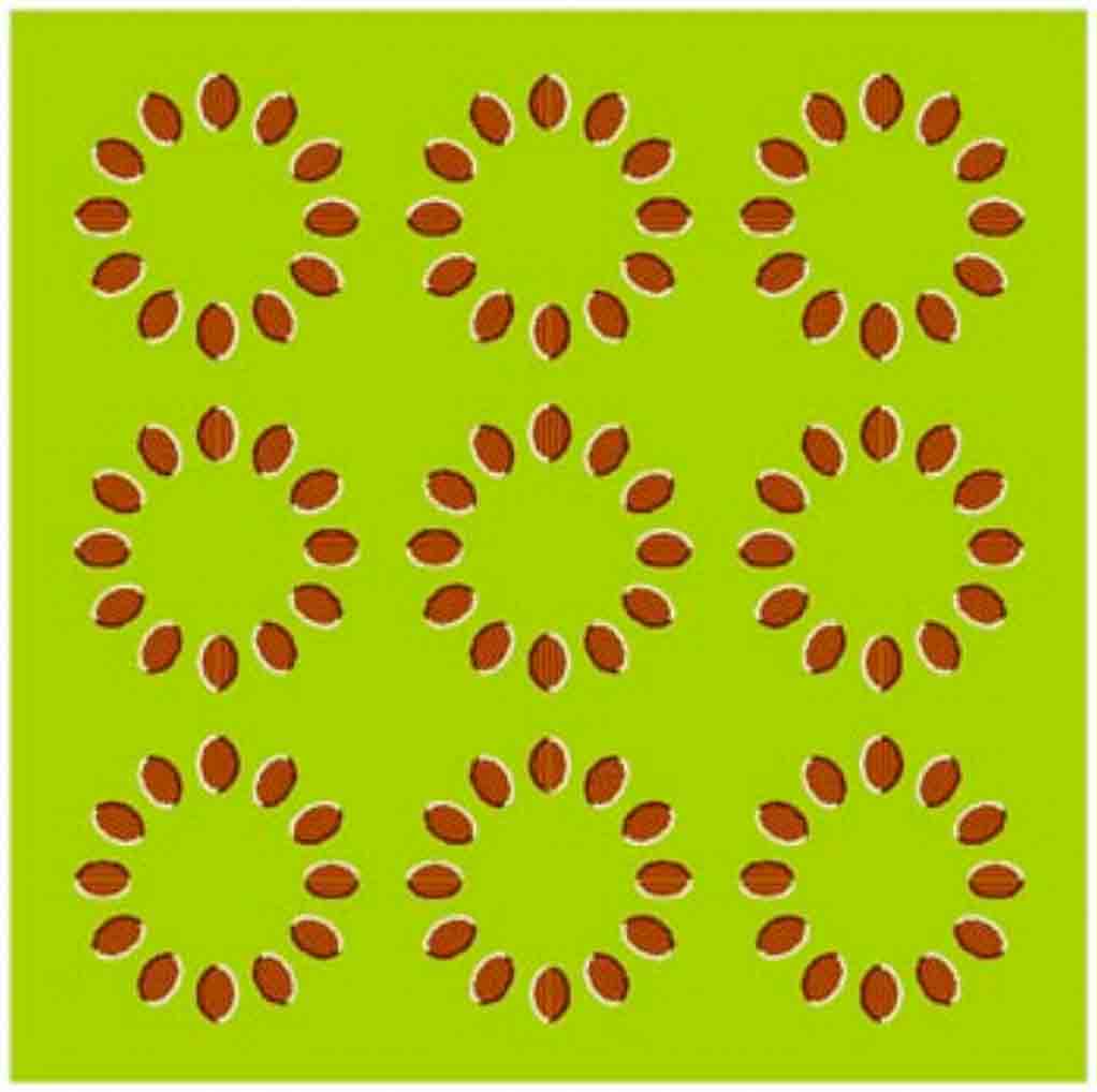 MotionIllusion circle motion illusion test