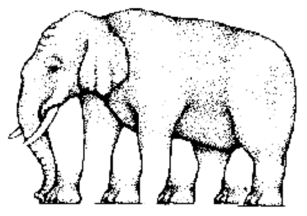 ElephantLegs elephant visual illusion test