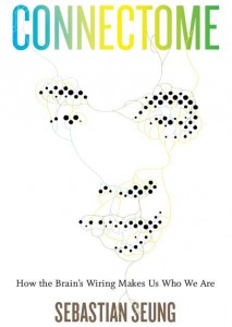 connectome